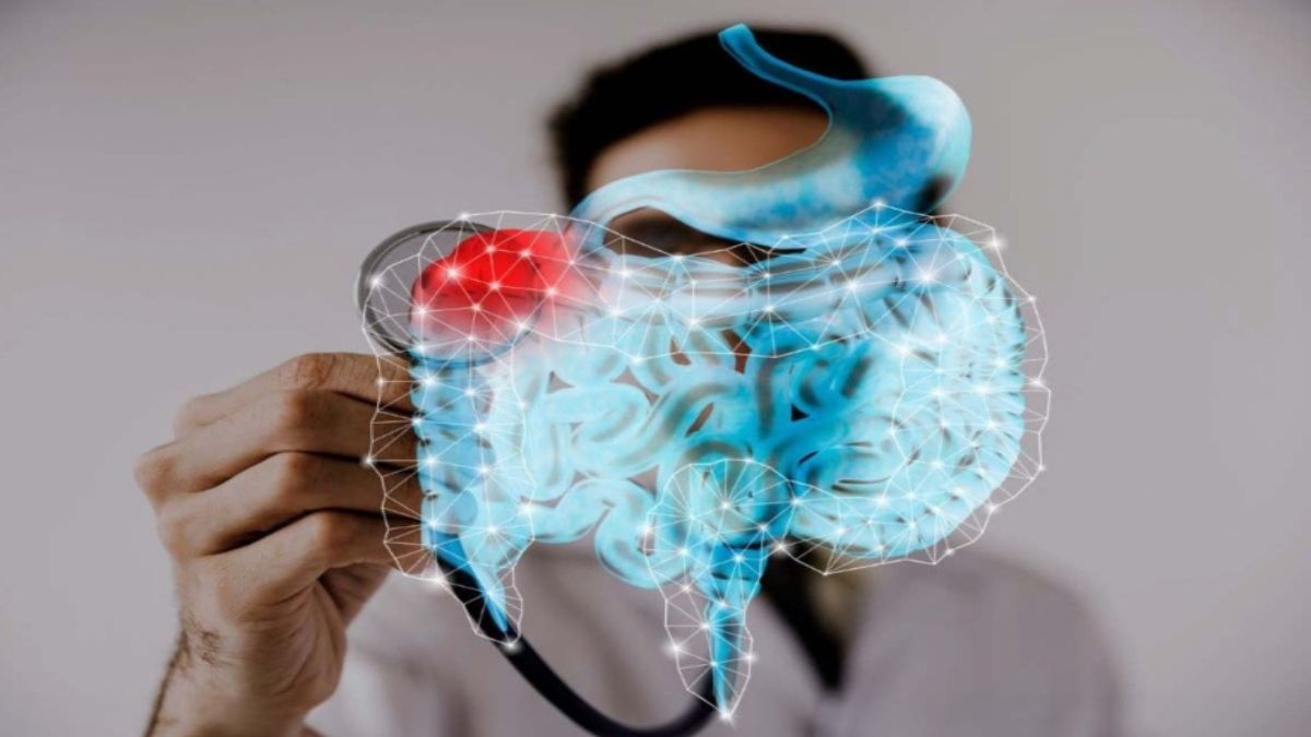 La microbiota intestinal ayuda a digerir alimentos