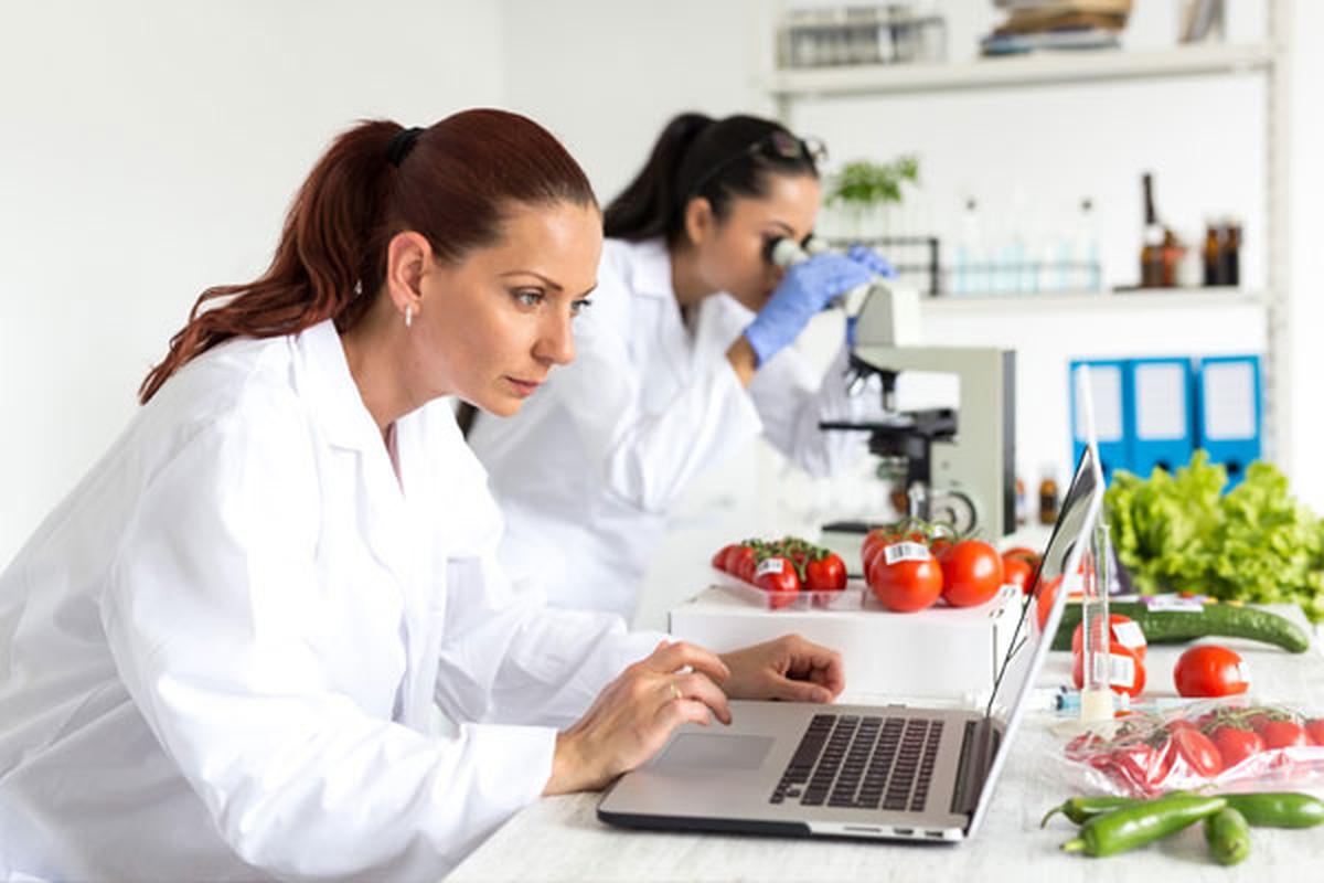 La mejor estrategia para cuidar el corazón y bajar el riesgo de enfermedades metabólicas como la diabetes es mantener un peso adecuado, realizar actividad física regularmente y seguir un plan alimentario.