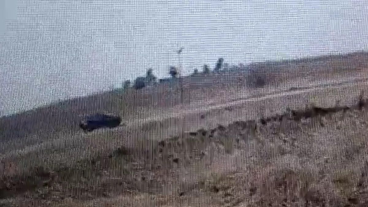 Las cámaras registraron el accionar del hombre que llegó hasta el campo en una camioneta negra