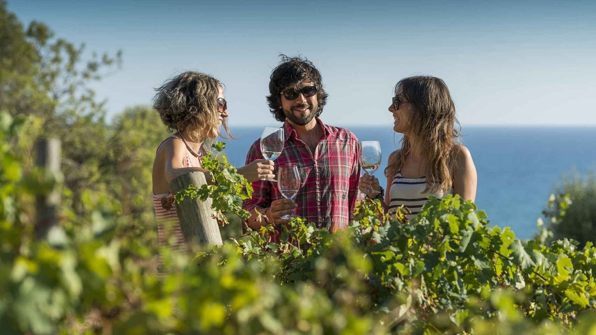 El objetivo del convenio es promover al vino como la bebida nacional y el desarrollo del enoturismo a nivel federal.