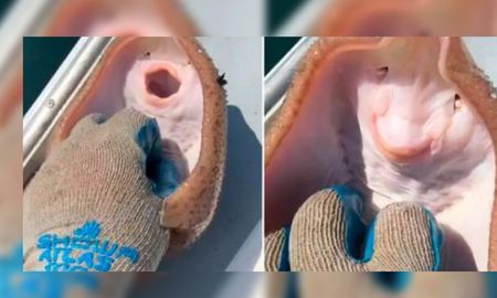 El inocente video se volvió viral en TikTok con miles de visualizaciones. El inocente video se volvió viral en TikTok con miles de visualizaciones.