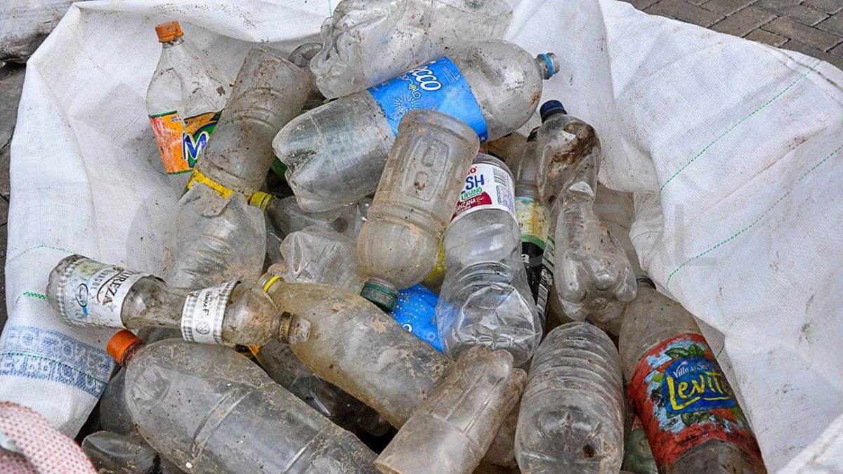 El plástico es el material predominante en la basura costera: sumó alrededor de un 60% del peso de lo recolectado.