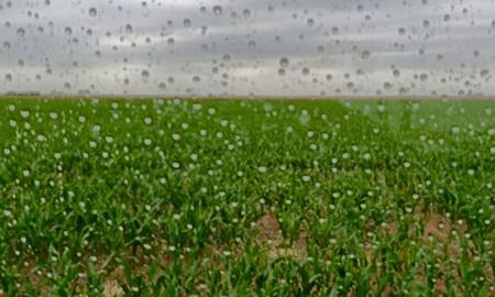 la zona nucleo espera lluvias para salir de la sequia y consolidar la campana gruesa la zona nucleo espera lluvias para salir de la sequia y consolidar la campana gruesa