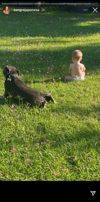 La China Suárez subió una foto de Amancio junto a su perra pitbull.