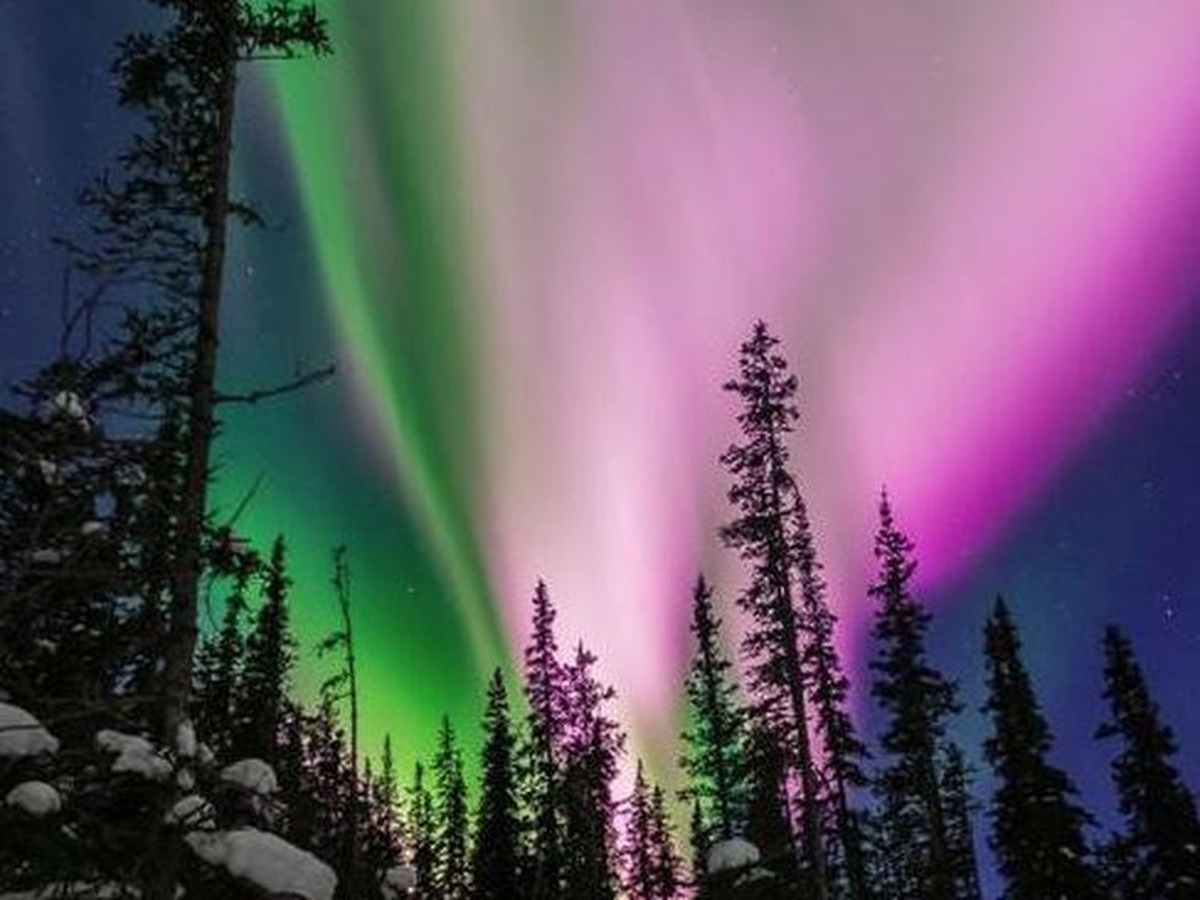 La erupción solar masiva que afectará la Tierra.