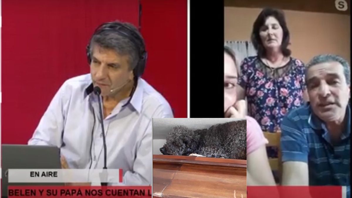 El amor eterno de Benito: su dueña murió hace cuatro años y él la visita en el cementerio