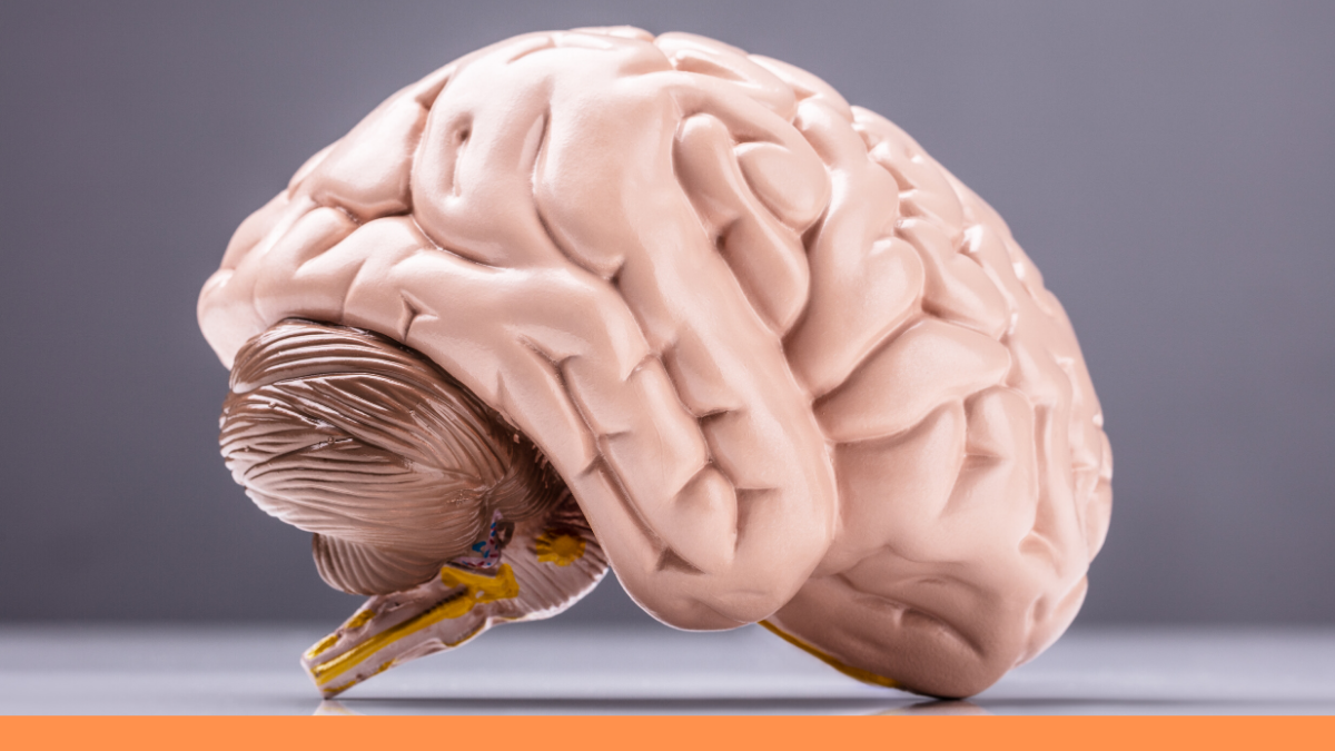 Mente sana, vida sana