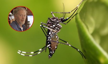 Aire de Santa Fe | Nicolas Schweigmann DENGUE.jpg