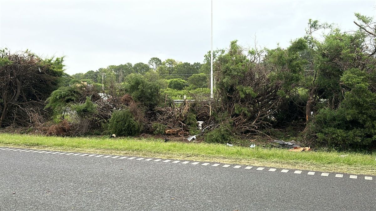 El auto impact&oacute; contra los arbustos de la autopista.