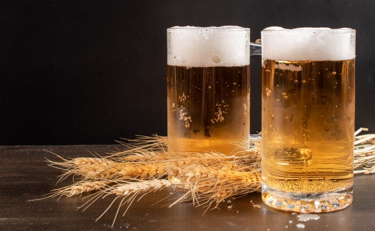 No se sabe con exactitud el origen de la cerveza. Probablemente su existencia sea tan antigua como el origen del hombre. Los primeros datos que se conocen datan de la época de los Sumerios, en la baja Mesopotamia, allá por el año 4000 antes de Cristo.