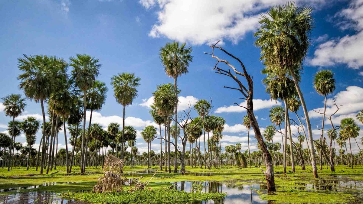 El Bañado La Estrella ofrece una experiencia de turismo lento
