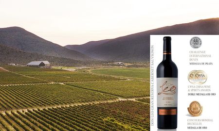 un cabernet mexicano se convierte en el mejor del mundo un cabernet mexicano se convierte en el mejor del mundo