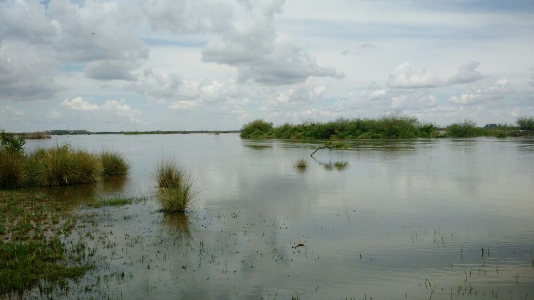 Piden normalizar el funcionamiento de las estaciones de medición del Salado