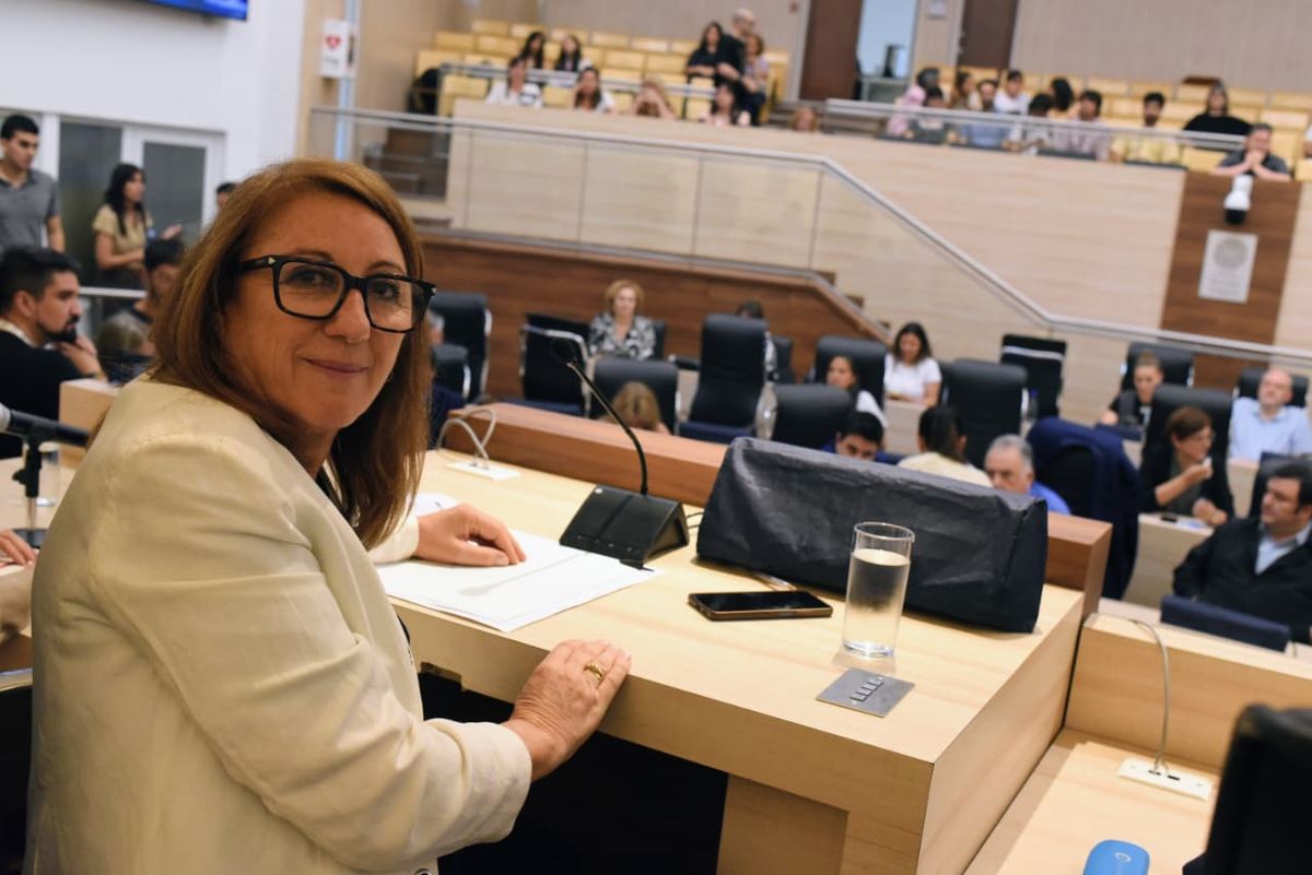 La diputada Mónica Fein, señaló que “la reunión de la comisión fue muy positiva. Se escucharon los testimonios de unas 12 familias que, claramente, mostraron, además del dolor, las preocupaciones que tenían con respecto a la información sobre el fentanilo”.