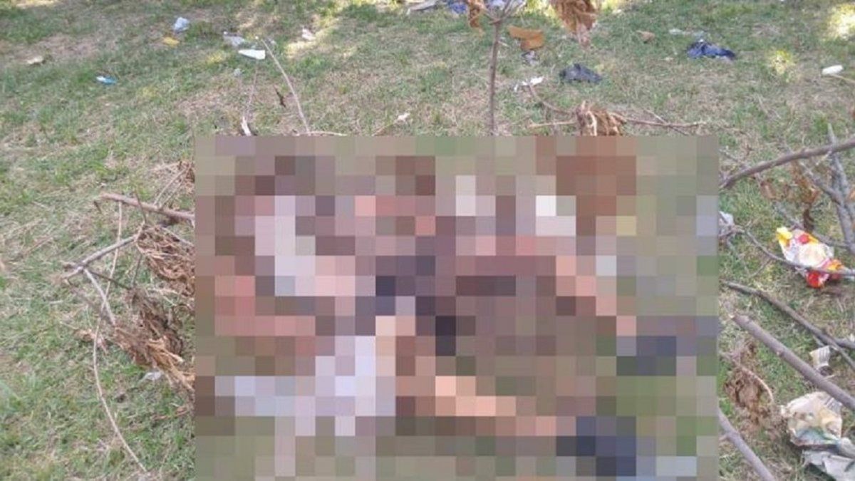 Matan a golpes a un joven e intentan prender fuego su cuerpo en un parque de Temperley