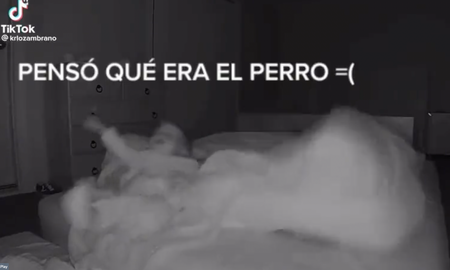 estaba dormido, penso que era el perro y empujo a su hijo estaba dormido, penso que era el perro y empujo a su hijo