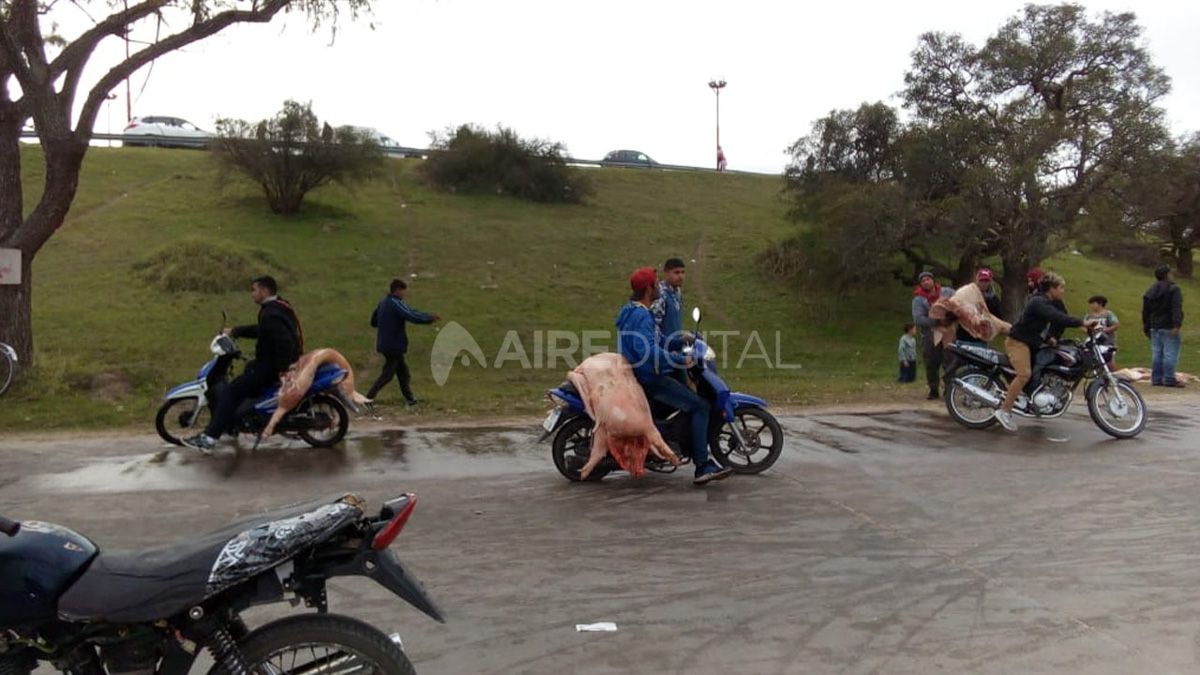 Las mejores fotos de 2019