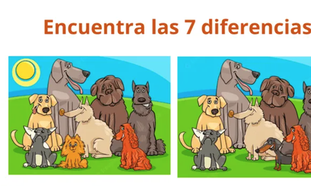 RETO VISUAL: descubrí las 7 diferencias ¡en 9 segundos! RETO VISUAL: descubrí las 7 diferencias ¡en 9 segundos!
