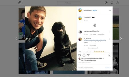 nala, la perrita de emiliano sala a un ano del fallecimiento de su dueno nala, la perrita de emiliano sala a un ano del fallecimiento de su dueno