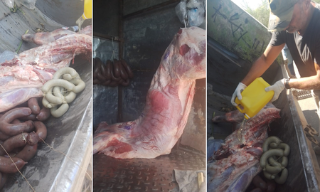 El municipio santotomesino decomisó carne y embutidos en mal estado en un transporte de carga. El municipio santotomesino decomisó carne y embutidos en mal estado en un transporte de carga.