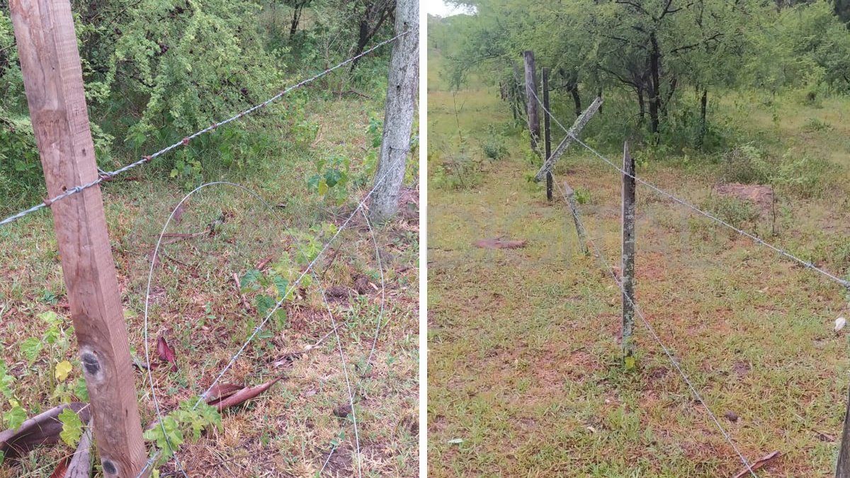 Se robaron 3.000 metros de alambrado del perímetro del establecimiento rural. 
