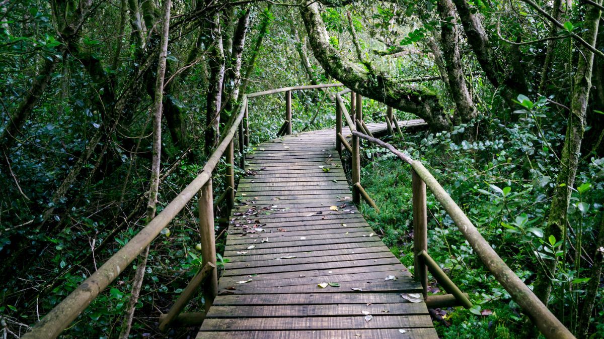 La cercanía con los valles interiores permite que la gastronomía local fusione los frutos del mar con productos típicos como el queso de cabra y el pisco, creando una identidad culinaria territorial única. La cercanía con los valles interiores permite que la gastronomía local fusione los frutos del mar con productos típicos como el queso de cabra y el pisco, creando una identidad culinaria territorial única.