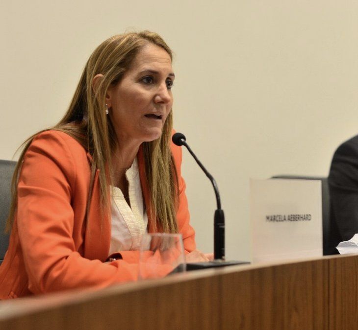 Vuelven a insistir con la suspensión del cobro de la Tasa Vial