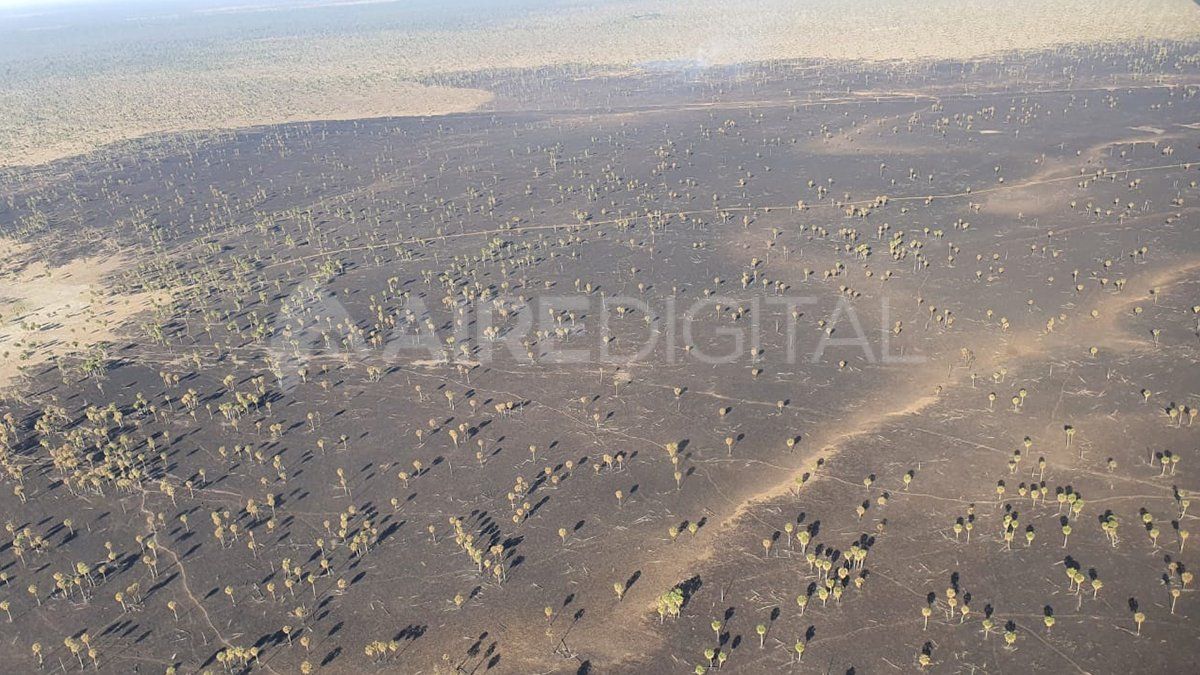 Así quedó parte de la zona rural de Los Amores tras el avance del fuego.&nbsp;
