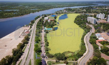 El lago del Parque del Sur está cubierto en un 90% por vegetación. El lago del Parque del Sur está cubierto en un 90% por vegetación.