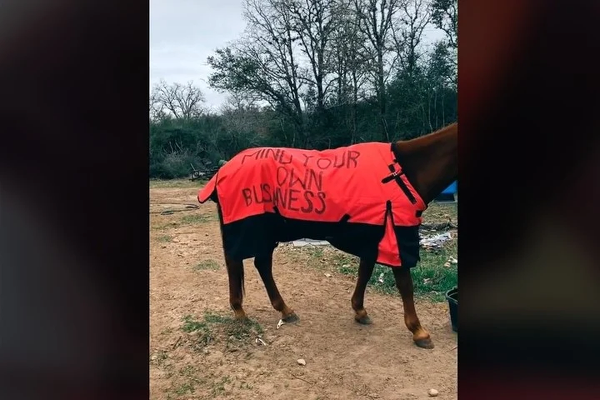 Mensaje. "Preoc&uacute;pate por tus cosas", escribi&oacute; ella en la pechera, un aviso a su vecino. Foto: captura/TikTok @trauma_queen1.