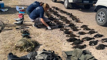 Caza de animales silvestres: condenaron a un guía turístico del norte de la provincia de Santa Fe