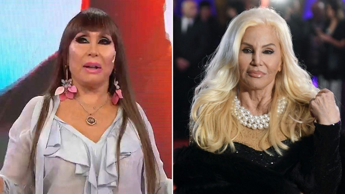 La filosa frase de Moria Cas&aacute;n tir&oacute; un palito contra Susana Gim&eacute;nez por devolver a la perrita