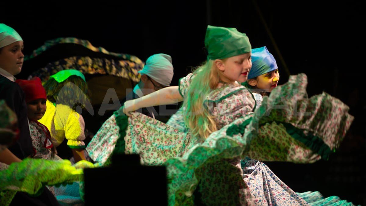 Unas 7.000 personas participaron de la Fiesta Nacional de la Frutilla.