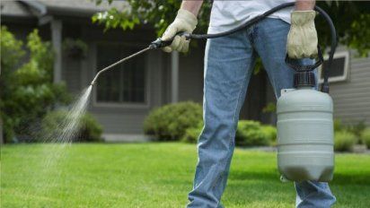 Qué es el organofosforado, el insecticida que afectó a 15 personas en Coronda