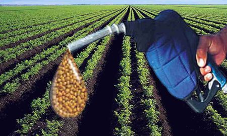 En Santa Fe se concentra el 80% de la capacidad instalada de producción de biodiésel. En Santa Fe se concentra el 80% de la capacidad instalada de producción de biodiésel.