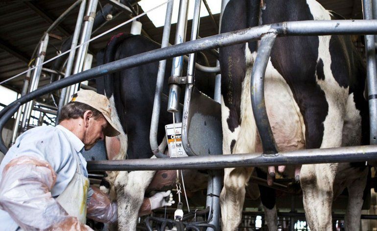 “El precio de leche en Argentina es el segundo más caro”