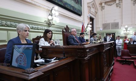 Felipe Michlig durante la Asamblea Legislativa en Santa Fe. Felipe Michlig durante la Asamblea Legislativa en Santa Fe.