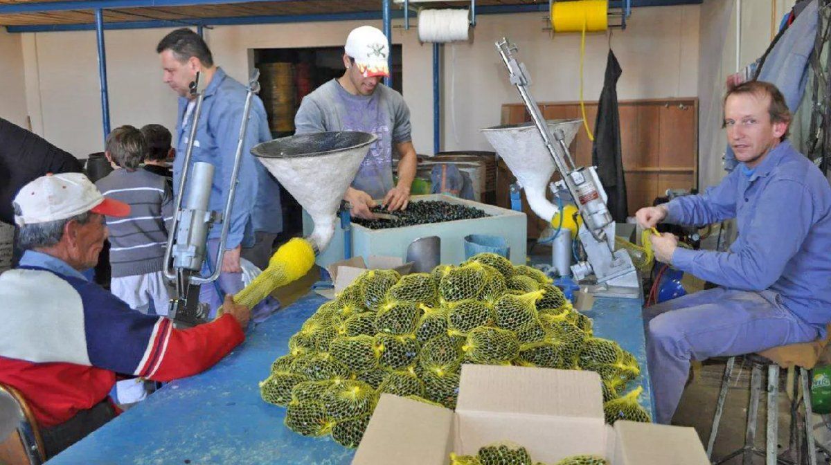 Tinka la fábrica de bolitas ubicada en Santa Fe