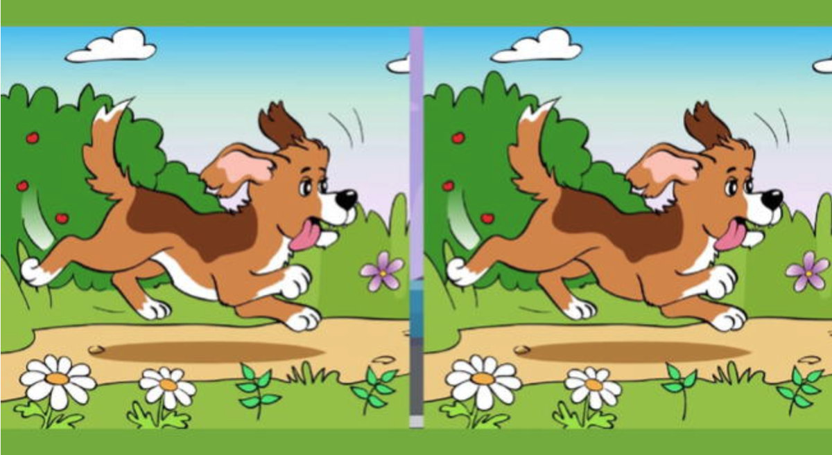 Reto visual: encontrá las diferencias.