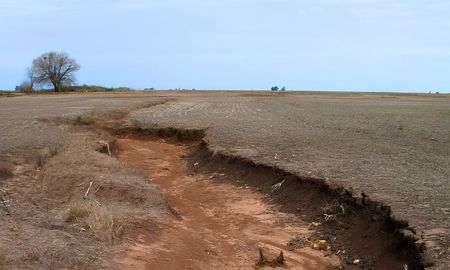 la mesa de bpa respondio a welschen y sigue el debate por la conservacion de suelos en entre rios la mesa de bpa respondio a welschen y sigue el debate por la conservacion de suelos en entre rios