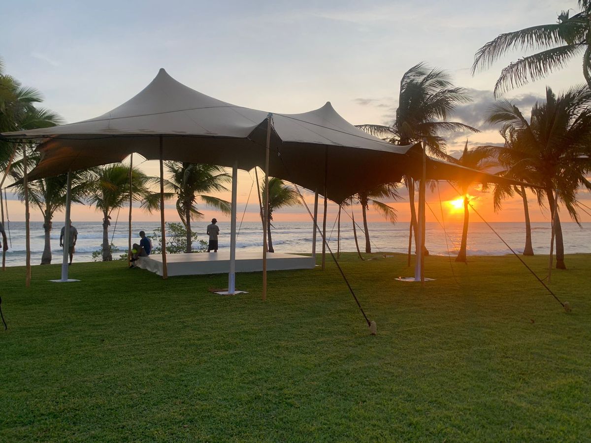 Se trata de una renovación estética frente a la clásica carpa y además ofrece múltiples opciones visuales y funcionales.