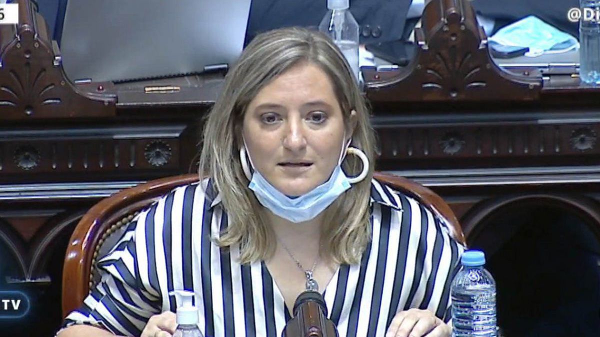 La diputada nacional de la Coalición Cívica por Santa Fe
