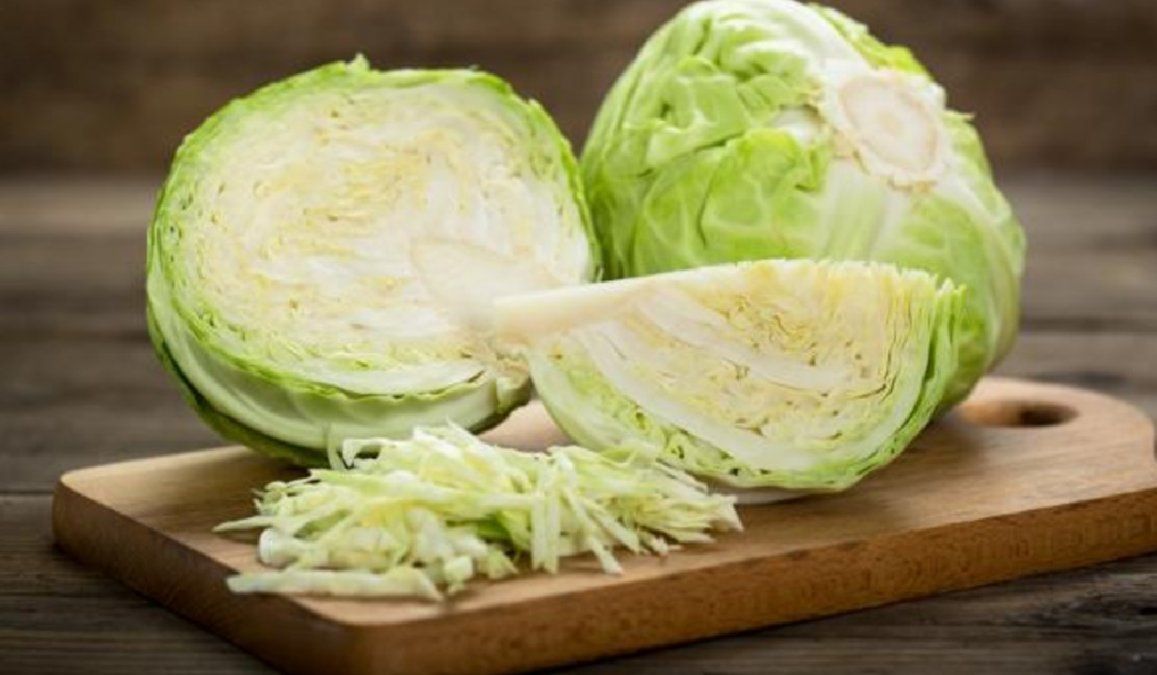 El repollo es una planta hortícola