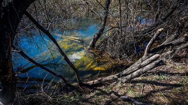 Los prefectos que hallaron a Maldonado señalaron que estaba en un “pozo profundo”