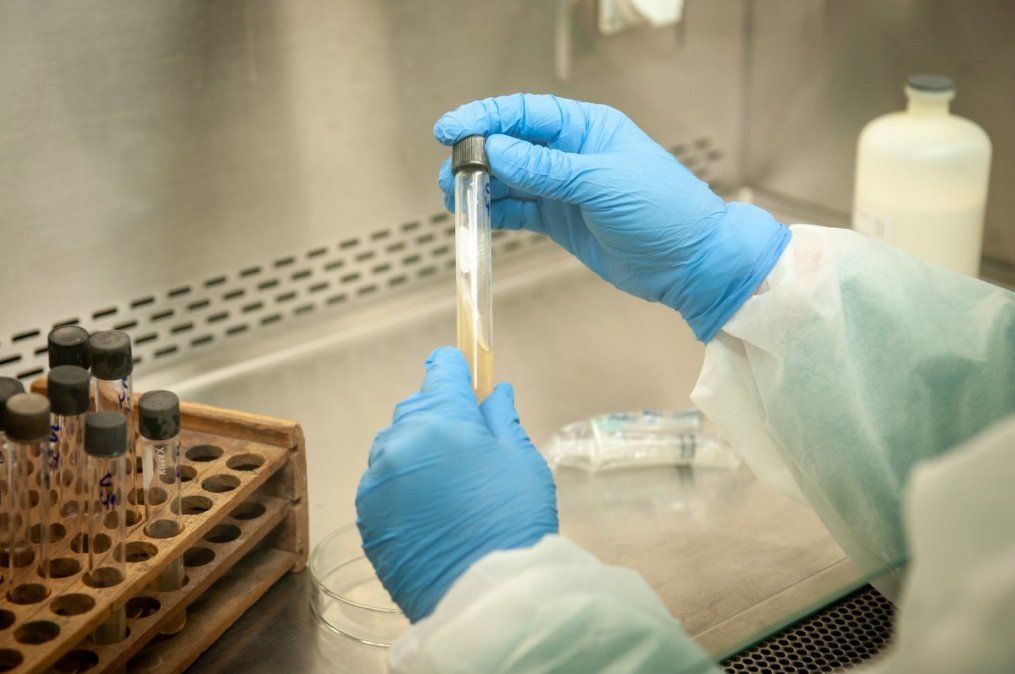 El INTA y Laboratorios Bagó financiarán estudios para avanzar en investigaciones vinculados al COVID-19