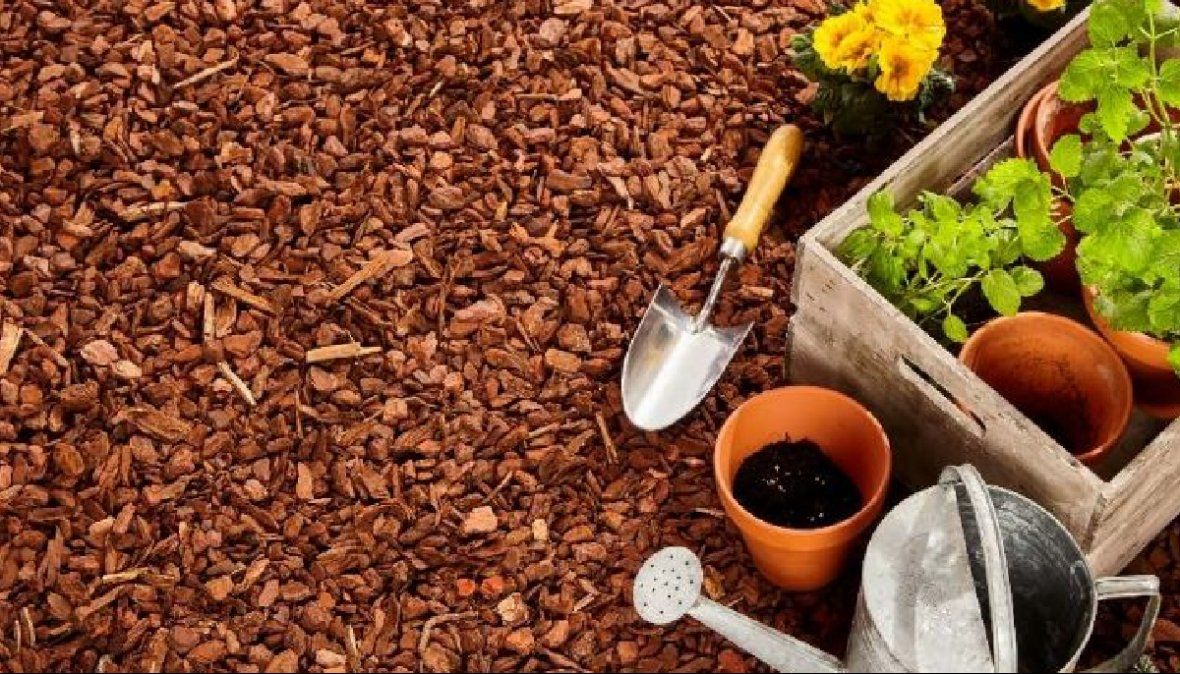 El mantillo es una gran técnica para protegarlas del frío&nbsp;