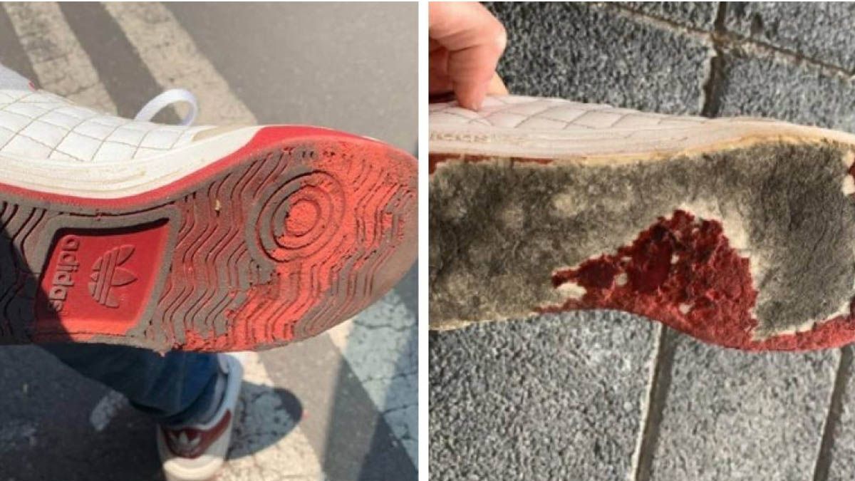 Pas&oacute; por una alfombra con sustancia para desinfectar y se qued&oacute; sin zapatillas