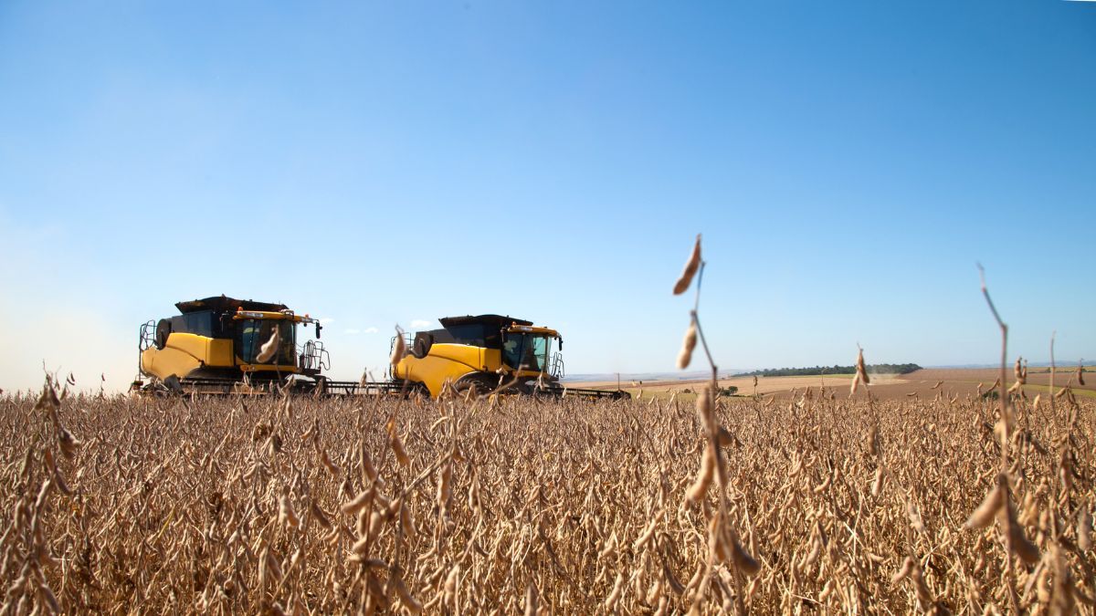 La provincia de Santa Fe exige la eliminaci&oacute;n definitiva de retenciones de las exportaciones del campo.