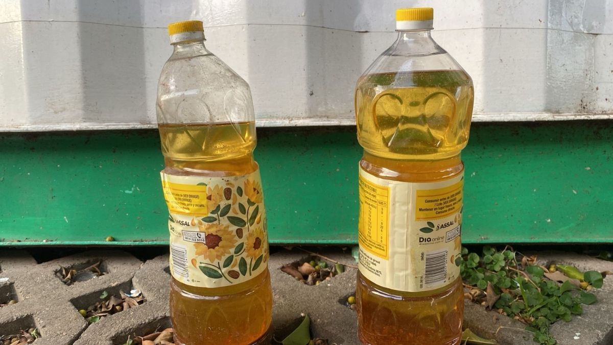 Ya se recolectaron más de 500 litros de aceite usado en ecopuntos en Santa Fe.