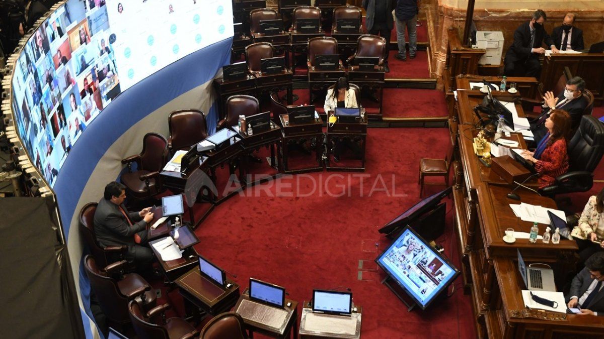 El Senado de la Naci&oacute;n sesiona virtualmente por la pandemia.